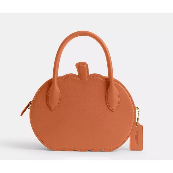 Coach Pumpkin Bag - Picture 1 of 3